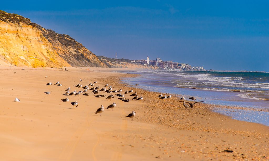 Huelva y Cádiz las mejores playas de Andalucía para vacaciones de verano
