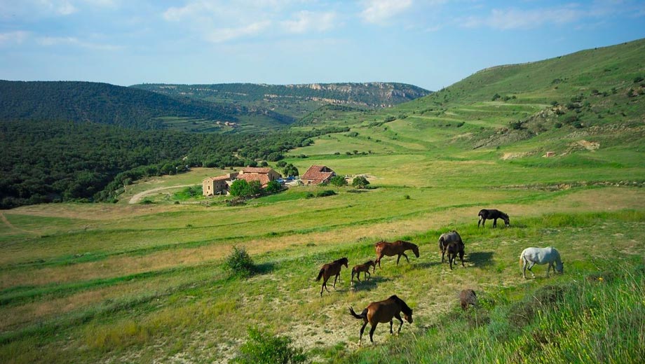 Turismo rural Teruel
