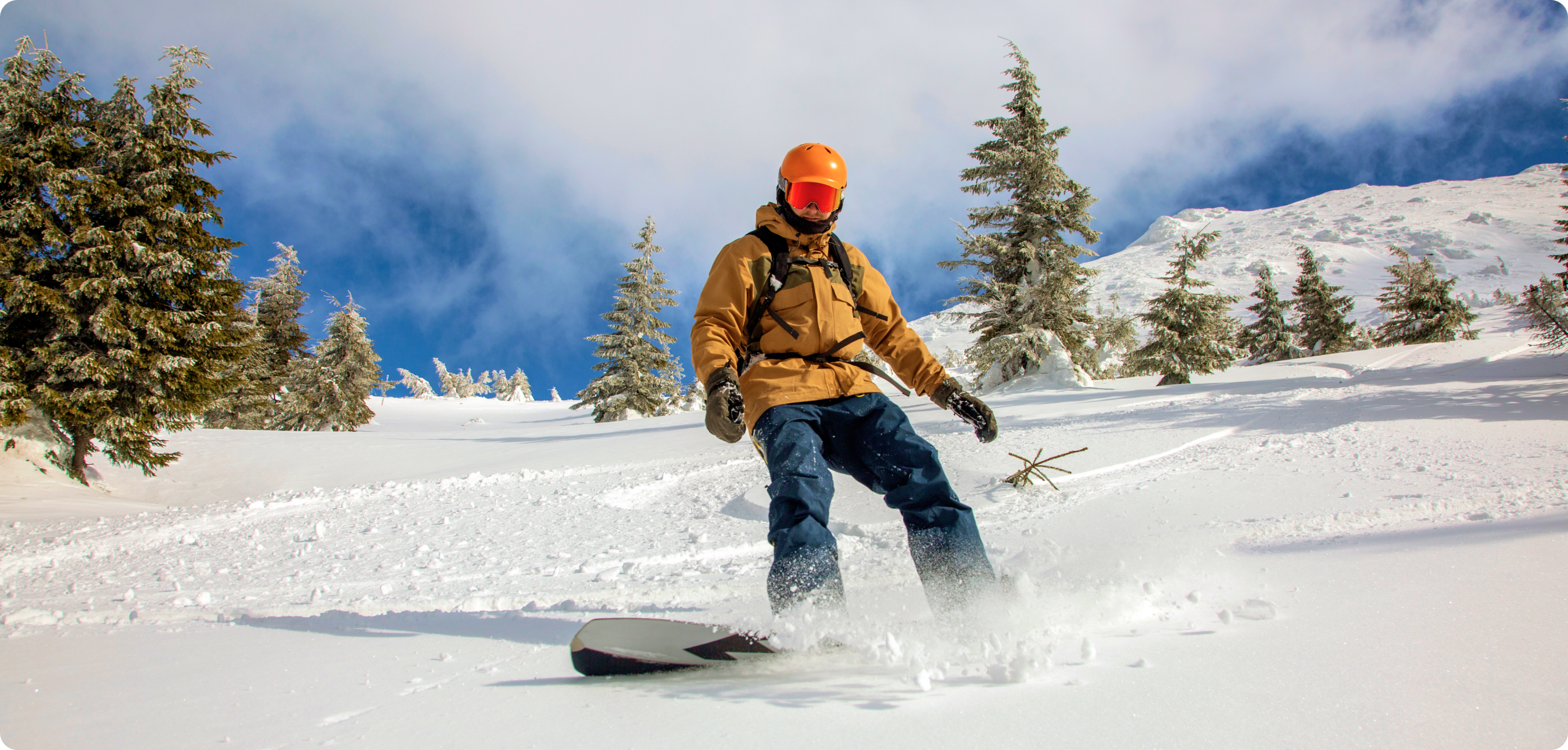 Foto de Actividades de nieve. ¡Disfruta del invierno!
